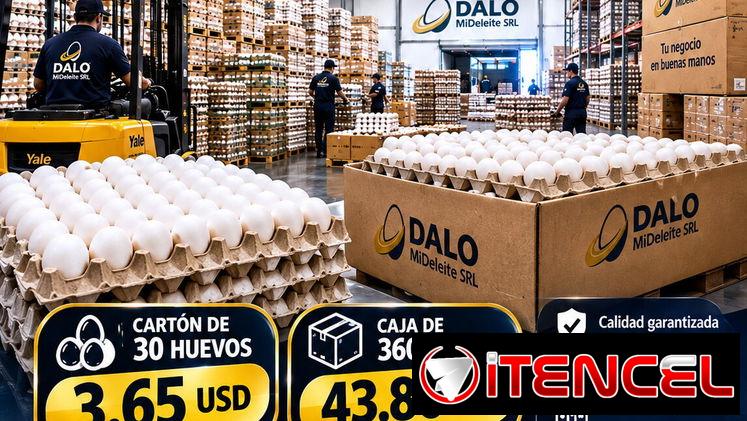 🥚 DALO MI DELEITE SRL | ALIMENTOS Y DISTRIBUCIÓN