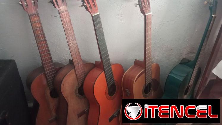 Guitarras acuáticas