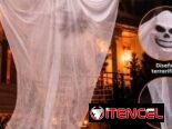 🎃Decoración de Halloween para bares,restaurantes y discotecas