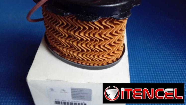 Filtro diesel motor DW8 Peugeot. 53002969