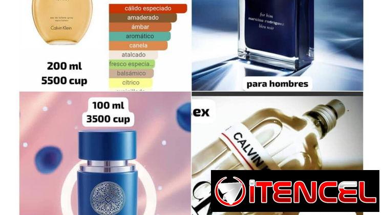 Perfumes: calidad, fijación y estela ideales