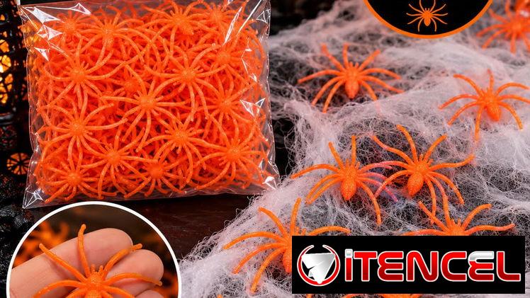 Toto en rebaja halloween — foto 4