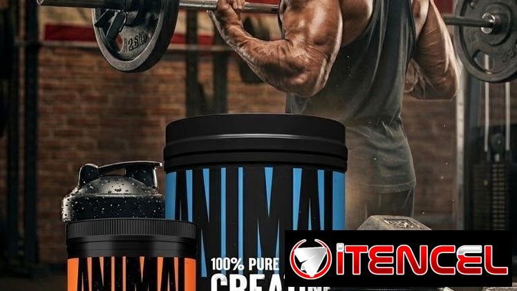 SUPLEMENTOS SPARTAN FITNESS 58890782