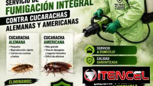 Cucarachas Eliminación en La Habana