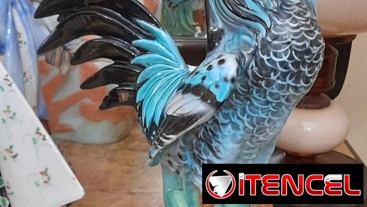 Bellos gallos antiguos italianos
