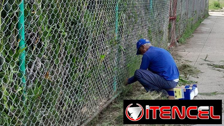 servicios de Jardinería y diseño — foto 2
