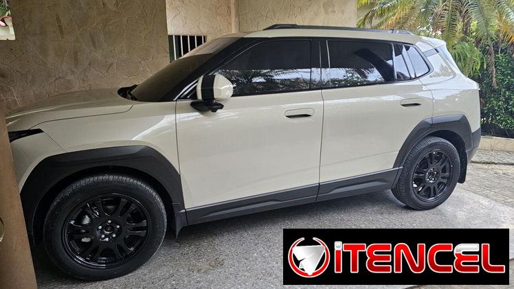 Dongfeng Vigo (471 km) — foto 1