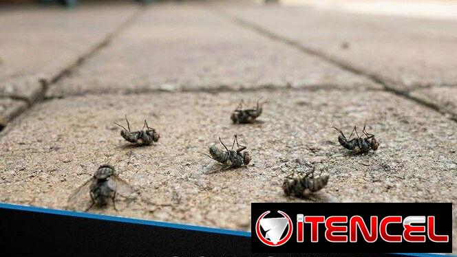 Raid para mosquitos 20 oz