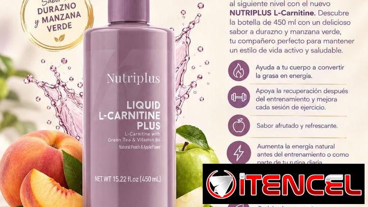 Nutriplus L-Carnitine