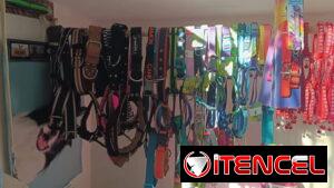 COLLARES PARA PERROS MEDIANOS Y GRANDES