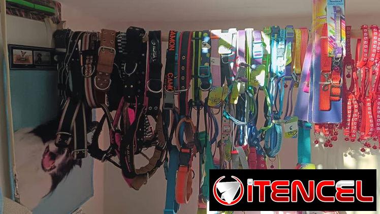 COLLARES PARA PERROS MEDIANOS Y GRANDES