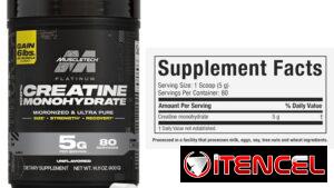 Creatina monohidratada Platinum Muscletech