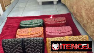Bolsos Goyard