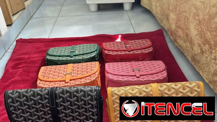 Bolsos Goyard