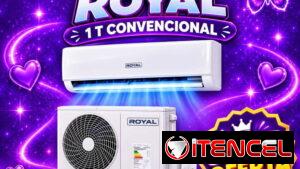Split Royal 1T