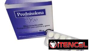 Prednisona 20 MG para perros y gatos