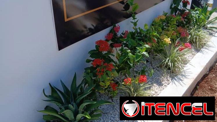 🌿 ¿TU PATIO ESTÁ TRISTE Y NO TIENES TIEMPO DE ARREGLARLO? 🌿 — foto 3