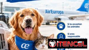 🇪🇸✈️ ¿Vuelas próximamente a España con Air Europa?