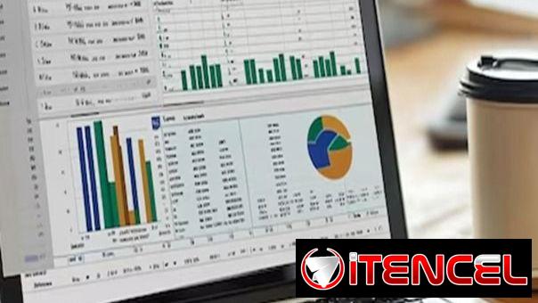PROFESOR LICENCIADO DE EXCEL A DOMICILIO: BÁSICO, INTERMEDIO Y AVANZADO