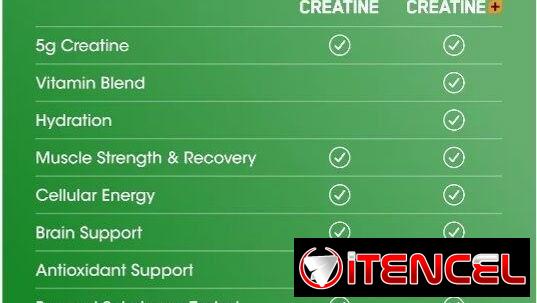 🌟 Creatina Micronizada Optimum Nutrition en Cápsulas – 200 cápsulas (100 porciones, 2.5 g cada una) 🌟 — foto 3
