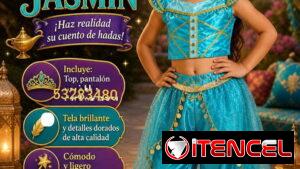 Disfra de niña de Jasmin