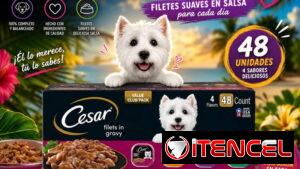 Comida para mascotas