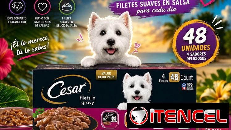 Comida para mascotas