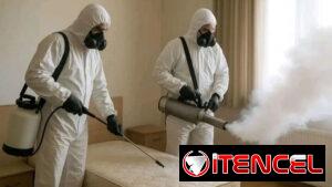 Fumigador de chinchas y cucarachas.