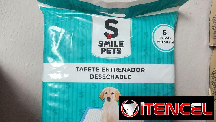 Tapetes de entrenamiento para perros 6u