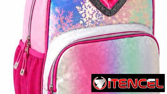 Mochilas 🎒 y carteras