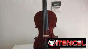Violín y accesorios musicales