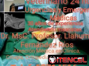 db54dbcb112fadf9501ee10cfbb553d004cf0aaa4a503b6917a9c1fd617a15e0