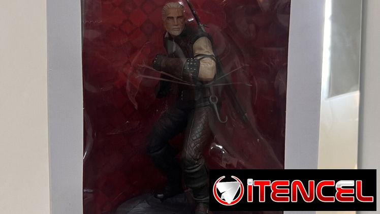 The Witcher