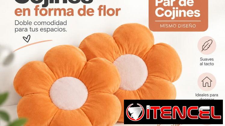Cojin Decorativo (par)