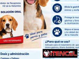 de19e77d2d8142a7e64da9d1c45ac330571b4060b3fe637278c3525fd9ec337c