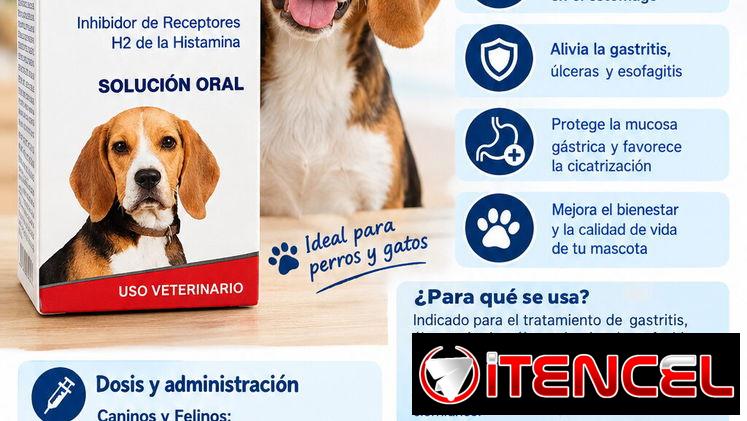Ranitidina en gotas para mascotas