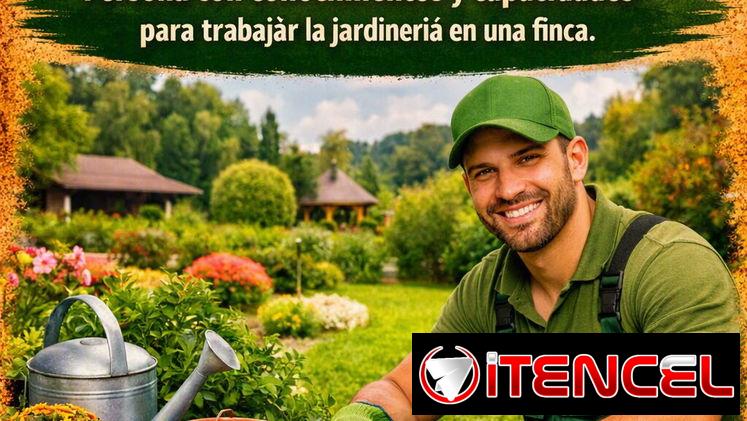 Se oferta empleo