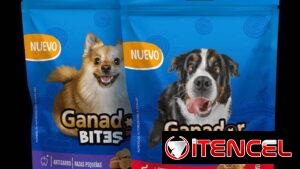 Galletas Ganador. Razas pequeñas