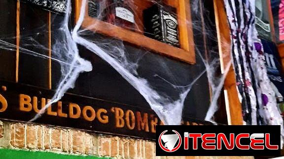 Decoración Halloween — foto 3