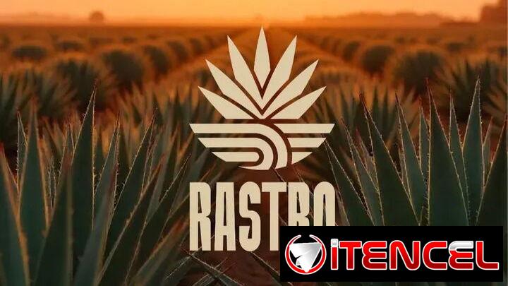 Diseñador de logotipo — foto 3