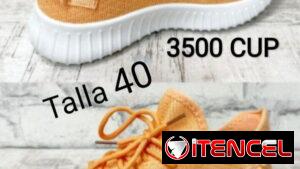 Tenis