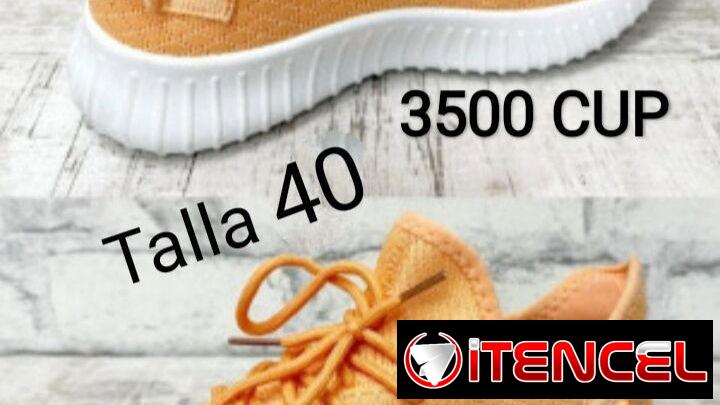 Tenis
