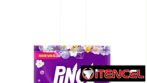 Pastillas Sanitarias Pinol Aromas para Baño/Inodoro – 72 g