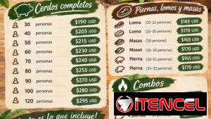 Combos de cerdo asado con líquidos y mensajería incluida