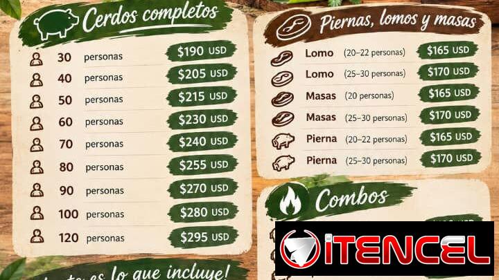 Combos de cerdo asado con líquidos y mensajería incluida