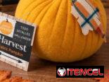 🎃 TIENDA ONLINE ESPECIALIZADA EN PRODUCTOS DE DECORACIÓN PARA HALOWEEN 🇺🇲TODO ORIGINAL AMERICANO