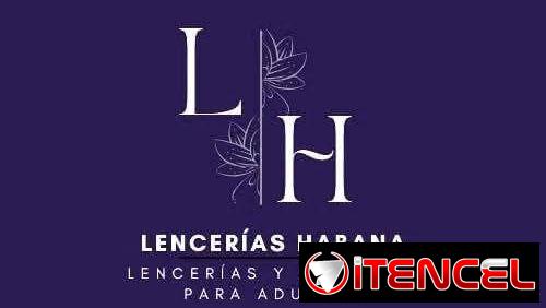 Lencerías, lubricantes y juguetes