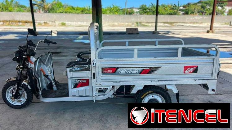 TRICICLO VIENTO RÁPIDO R