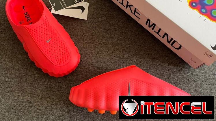 Tenis