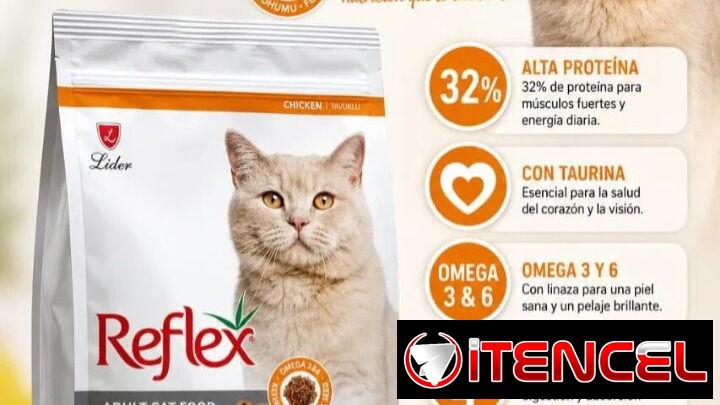 Excelente pienso🐥 para gatos ✳️Bolsa sellada 2 kg ✅️Mensajería